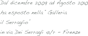 Dal dicembre 2009 ad Agosto 2010
ha esposto nella “Galleria
il Serraglio”
in via Dei Serragli 41/r - Firenze

